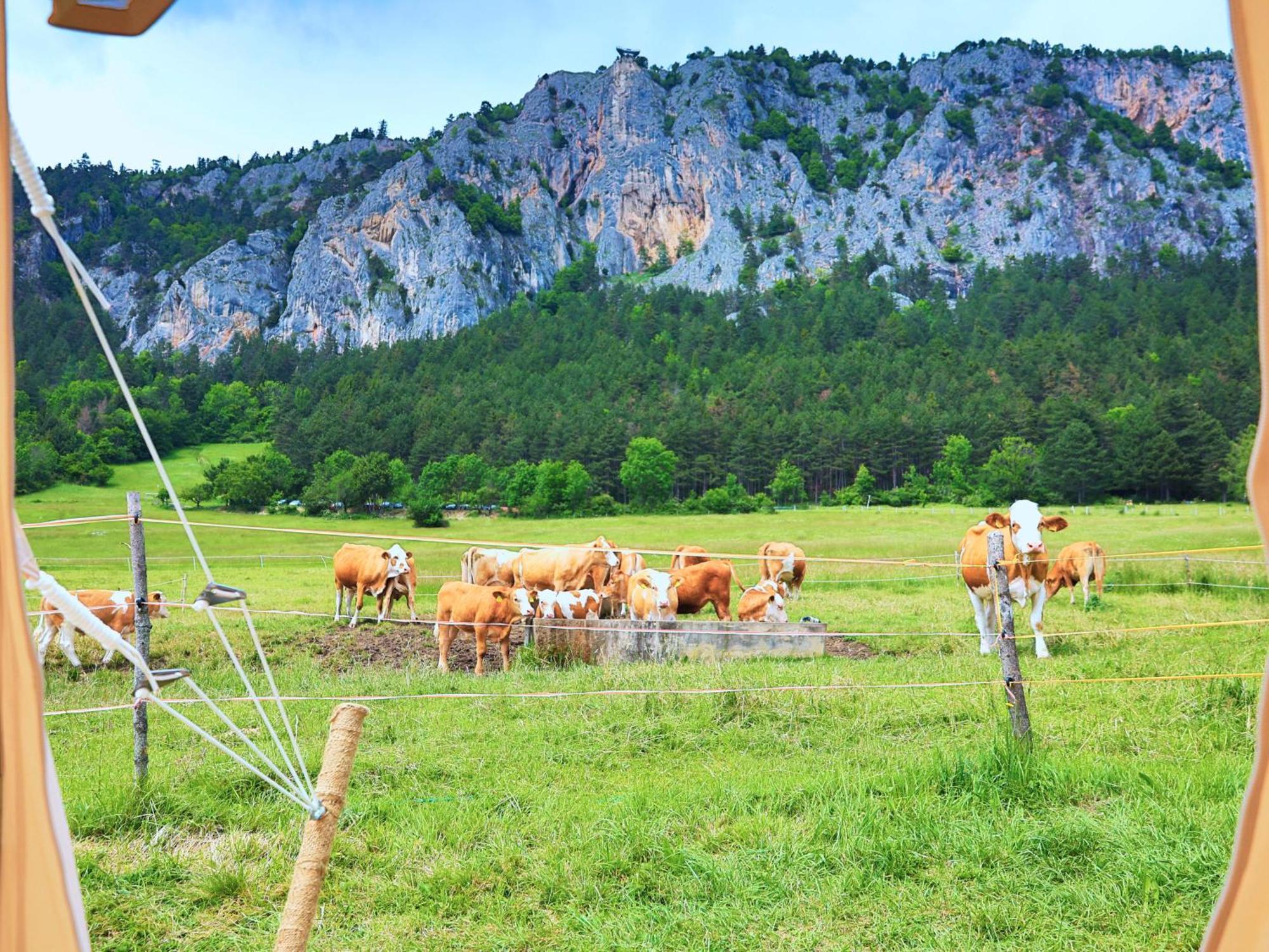 Glamping Hohe Wand - Zelt Mit Sternenfenster Und Whirlpool Hotel Maiersdorf Luaran gambar